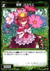  WX09-050 C 羅植 コスモス 