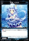  WX10-071 C 幻水 イルカ 