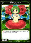  WX14-068 C 羅植 ハイビス 
