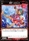  WX18-064 C 羅石 トサンゴ 