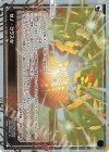  WXDi-P02-005 PI ゼノ・クラスタ 