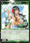  WXDi-P02-072 C 翠天 カマプアア 