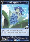  WXDi-P07-071 C 羅植 ヒヤシンス 