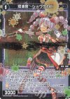  WXDi-P07-088P P-C 羅油菌 ショウコカビ 