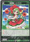  WXDi-P08-071 C 羅踊植 ハイビス 