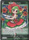  WXDi-P08-071P P-C 羅踊植 ハイビス 