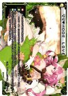  WXK01-028 LC ママ MODE LOVE 