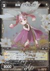  WXK04-036P P-R 羅植 アキザクラ 
