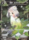  WXK04-067P P-C 羅植 キヌガサ 