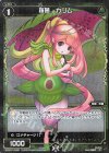  WXK07-048P P-R 羅菌 カリム 