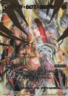  WXK09-113 SC アーク・クロス・カウンター 