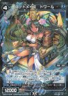WXK10-044P P-R コードメイズ ドワール