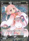  WXK11-049P P-C 羅植 ハルザクラ 
