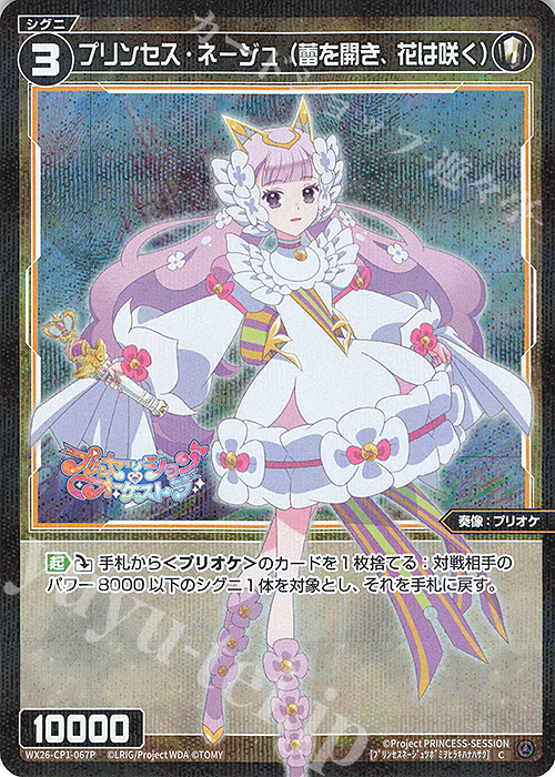 P-C プリンセス・ネージュ(蕾を開き、花は咲く) 販売 | [WX26-CP1