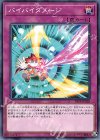  19PP-JP020 N バイバイダメージ 