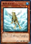  20AP-JP033 P-N 黄泉ガエル 