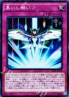  20AP-JP054 P-SR 集いし願い 