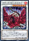  20AP-JP067 P-N ブラック・ローズ・ドラゴン 