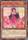  20PP-JP007 N ローズ・プリンセス 