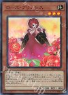  20PP-JP007 UR ローズ・プリンセス 