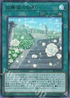  20PP-JP011 UR 白薔薇の回廊 