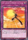 20TH-JPB24 P-N かっとビング・チャレンジ