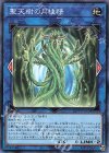  21PP-JP018 N 聖天樹の月桂精 