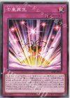  22PP-JP015 N 七皇再生 