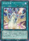  23PP-JP004 N 金科玉条 
