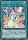  23PP-JP004 P-N 金科玉条 