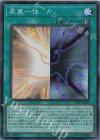  23PP-JP005 SR 表裏一体 