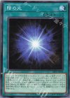  23PP-JP006 N 陰の光 