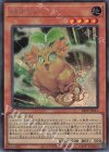  23PP-JP011 SE ネコーン 