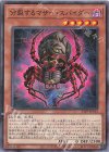  23PP-JP013 P-N 分裂するマザー・スパイダー 