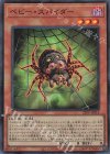 23PP-JP014 SR ベビー・スパイダー 