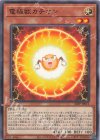  24PP-JP012 N 電極獣カチオン 