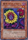  303-018 N 魔草 マンドラゴラ 
