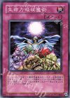 303-050 N 生命力吸収魔術