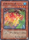  307-011 N 幻影のゴラ亀 