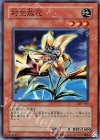  307-021 N 対空放花 