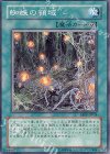  ABPF-JP054 N 蜘蛛の領域 