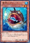  ABYR-JP031 N 素早いアンコウ 