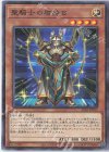  AC01-JP017 P-N 聖騎士の盾持ち 