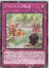 AC02-JP039 N アマゾネスの秘湯 