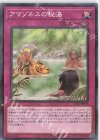 AC02-JP039 P-N アマゾネスの秘湯