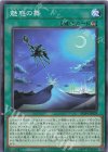  AC04-JP029 N 魅惑の舞 