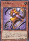  AGOV-JP025 N 大陰陽師タオ 