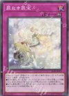 ALIN-JP073 N 罪なき罪宝 