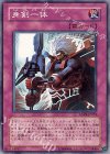  ANPR-JP079 N 身剣一体 