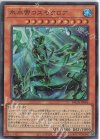  BACH-JP006 UR 氷水帝コスモクロア 